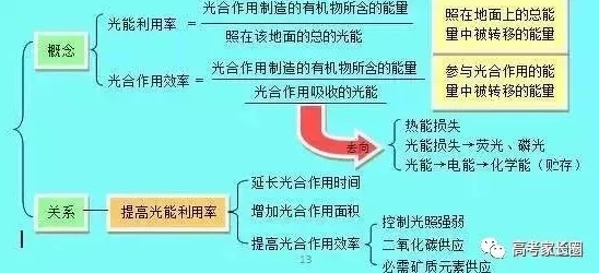 深入探讨西方137大但人文艺的发展历程及其影响因素分析 深入探讨西方137大但人文艺的发展历程及其影响因素分析