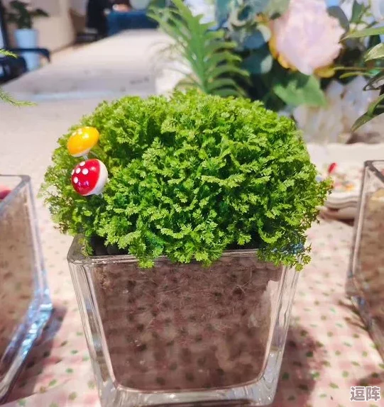 《星露谷物语》中绿意盎然的家园装饰：探索种植绿植的最佳区域与技巧