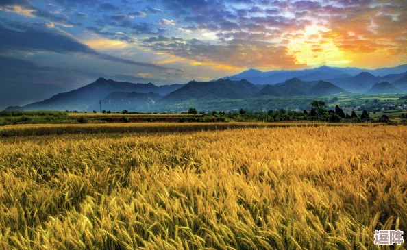 米蕾娜的牛奶牧场v1.0:丰收时节的独特体验与挑战 米蕾娜的牛奶牧场v1.0:丰收时节的独特体验与挑战