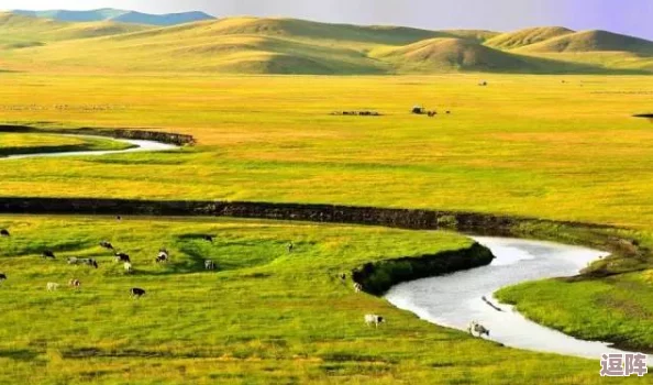 米蕾娜的牛奶牧场v1.0:丰收时节的独特体验与挑战 米蕾娜的牛奶牧场v1.0:丰收时节的独特体验与挑战