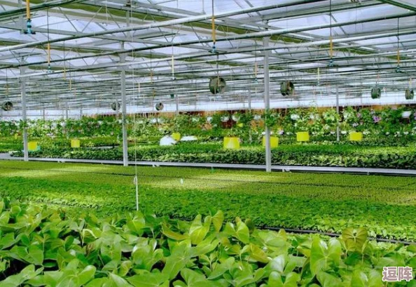 探索超数据世界:2024年最新独家兑换码揭秘,尊享未来科技盛宴! 探索超数据世界:2024年最新独家兑换码揭秘,尊享未来科技盛宴!