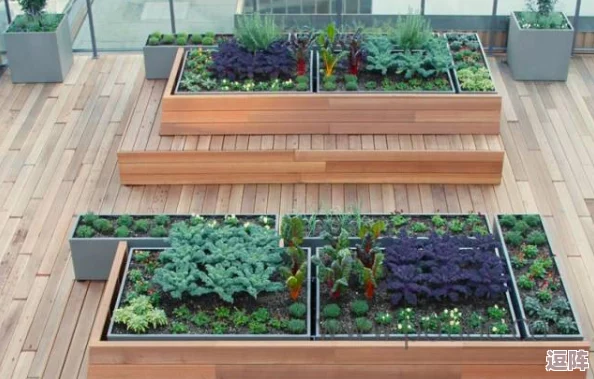 吸小花园的方法：如何通过简单技巧提升家庭绿化效果，打造理想的室内植物空间