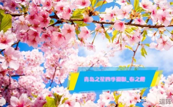 2023光遇花之日活动攻略:如何高效兑换樱花斗篷新装扮 2023光遇花之日活动攻略:如何高效兑换樱花斗篷新装扮