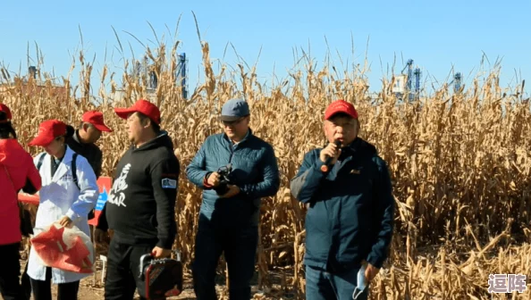 911红领巾瓜报往期回顾:热门话题、最新动态和精彩内容 911红领巾瓜报往期回顾:热门话题、最新动态和精彩内容