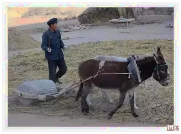 dj粗口歌摸摸你的头小毛驴，曝光其与知名女明星疑似绯闻恋情