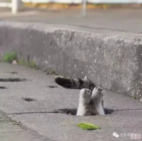 县城市场旱厕大白屁股偷拍，揭示公共卫生隐患与社会道德问题的严重性，引发广泛关注与讨论